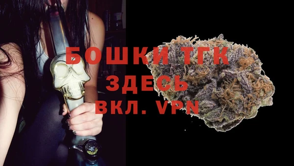 шишки Гусев