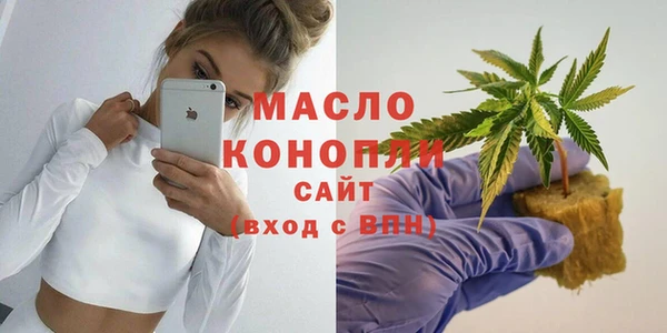 шишки Гусев