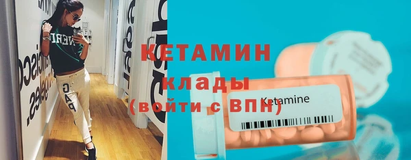 шишки Гусев