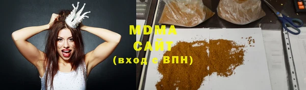 шишки Гусев