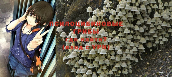 шишки Гусев