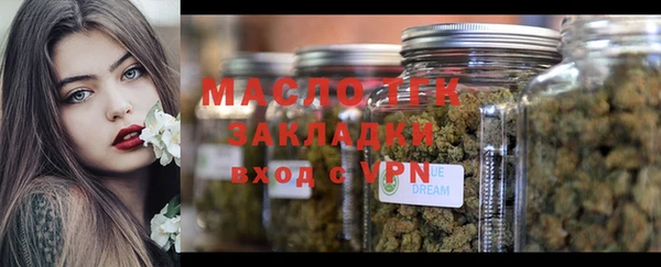 шишки Гусев