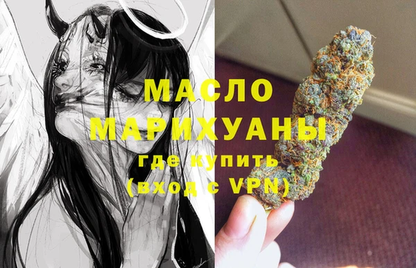 шишки Гусев