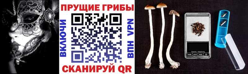 Галлюциногенные грибы MAGIC MUSHROOMS  хочу наркоту  Октябрьск 